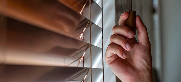 Double Roller Blinds in Marco Island, FL