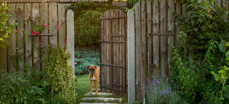 Winter Garden Garage Door Repair in Marco Island,[location field=state]