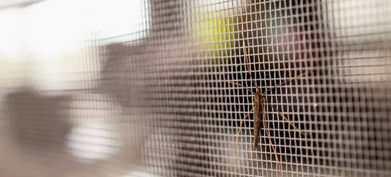 Repair Mosquito Mesh For Windows in Marco Island, FL