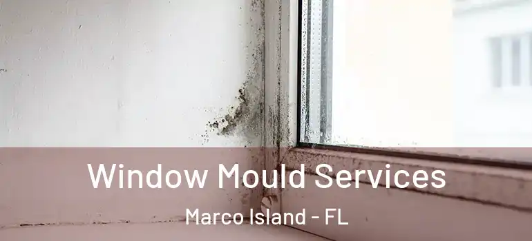 Window Mould Services Marco Island - FL
